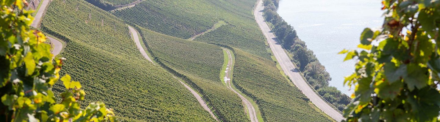 Weingut Bernhard Eifel Cristoph Cluesserath Impressionen Weingut 07