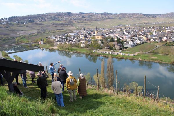 515941810 1115947380586889 4009375236763803549 N